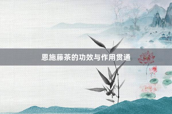 恩施藤茶的功效与作用贯通