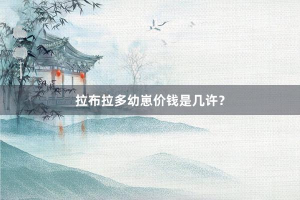 拉布拉多幼崽价钱是几许？